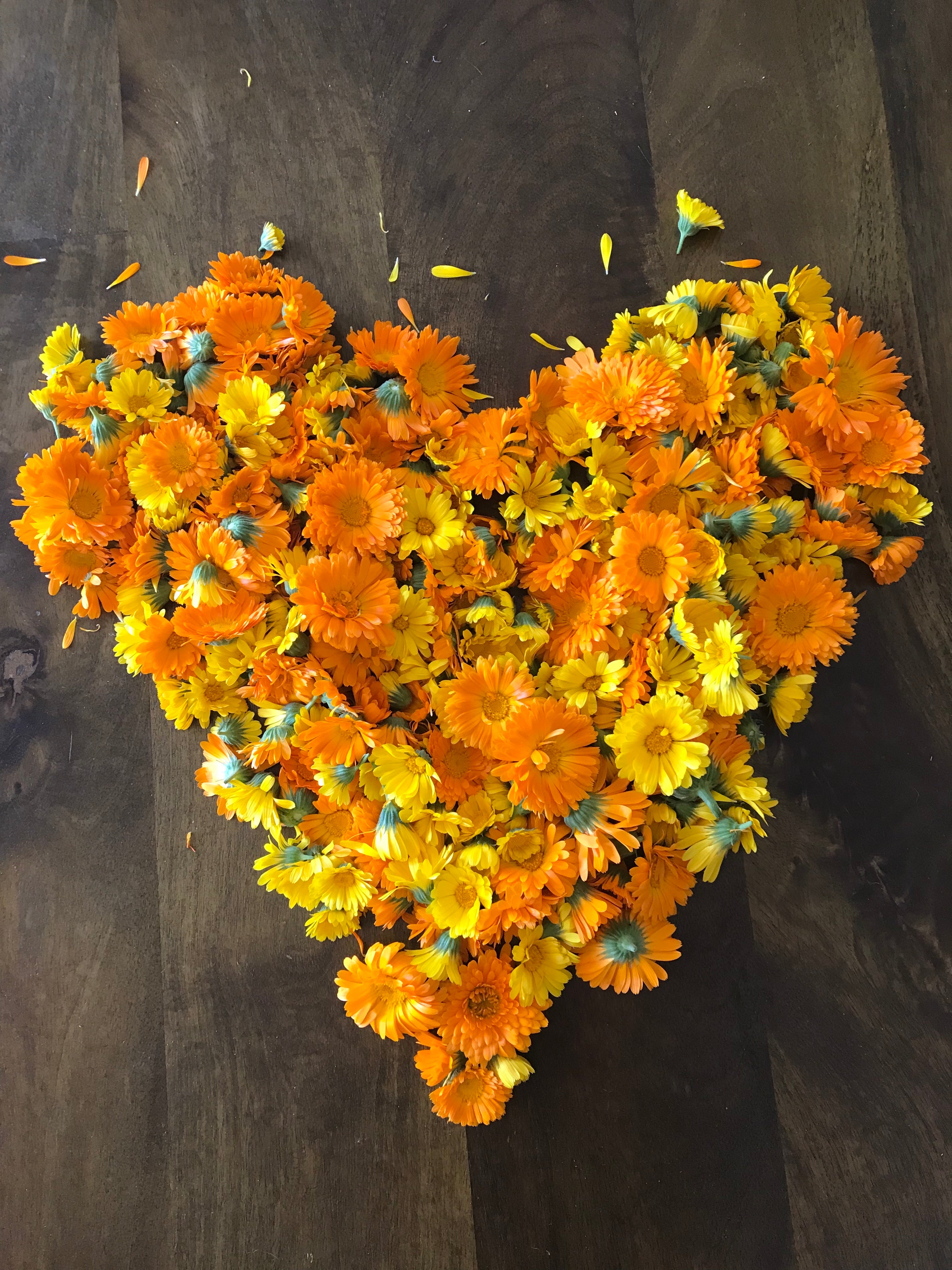 orange and yellow Calendula flowers in shape of a heart
